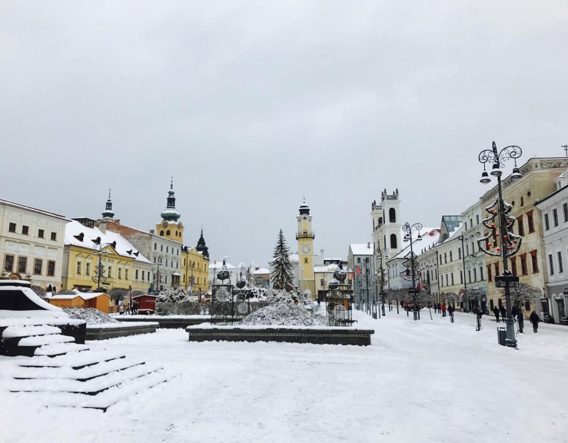 Bl - The Penthouse, 24Hr Self Check-In, 2 Bedrooms, Fireplace, Ac, Panoramic View From Main Balcony, 3-Minute Walk To City Center Banská Bystrica Exterior foto